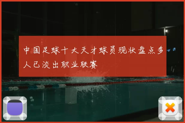 中国足球十大天才球员现状盘点多人已淡出职业联赛