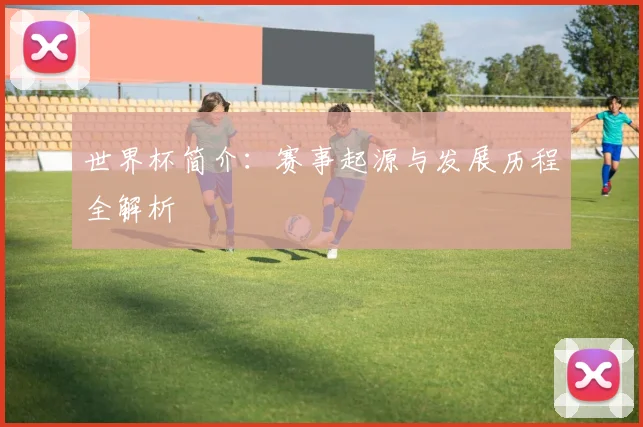 世界杯简介:赛事起源与发展历程全解析