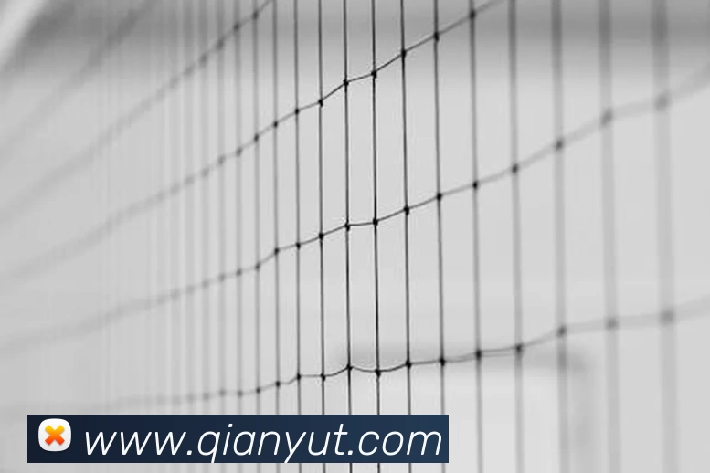 移民芬兰归化球员后悔离队 欧洲杯资格赛前景受影响